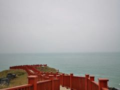 -枸杞岛