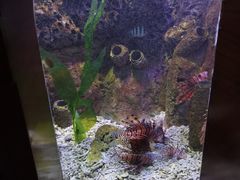 -太平洋海底世界