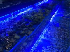 -索菲特酒店 · 云尚天际自助餐厅