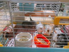 -凯德广场(学府店)