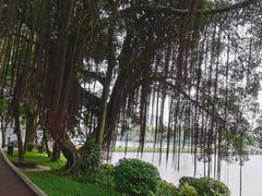 -南宁南湖公园