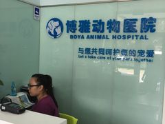 -纳吉亚猫专科动物医院博雅分院