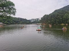 -黔灵山公园