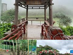 -广州白江湖森林公园