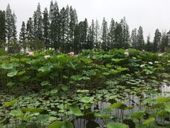 -百翠山居.家飨餐厅