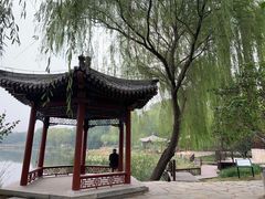 -北坞公园