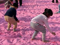 -长洲岛都市农业公园