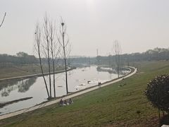 -洨河生态公园