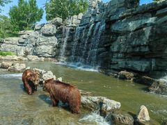 -北京野生动物园