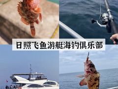 -日照海滨国家森林公园