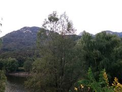 -鲁山国家森林公园