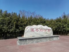 -莲花池公园