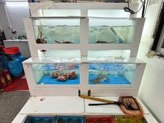 -金砂阿洲鱼册店
