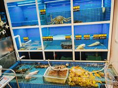 -金龙·打边炉(南京西路店)