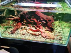 -青木造型HAIR·あおき髪を刈る潮人店