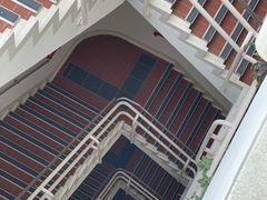-香港大学