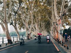 -李公堤