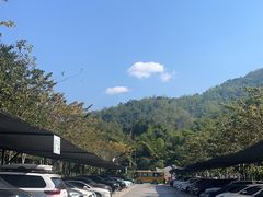 -西双版纳原始森林公园