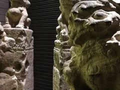 -梧桐餐厅(泉城路店)