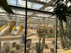 -南宫五洲植物乐园