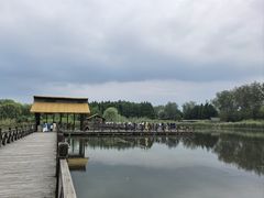 -溱湖国家湿地公园