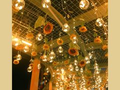 -牛油果大师寿司(瑞景店)