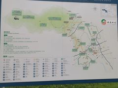 -桤木河湿地公园