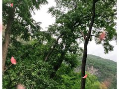 -北京上方山国家森林公园