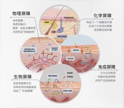 -春田皮肤管理中心品牌旗舰店
