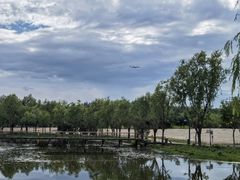 -东郊湿地公园