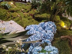 -狮王府淮扬菜(夫子庙老门东店)