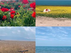 -青海湖国家重点风景名胜区