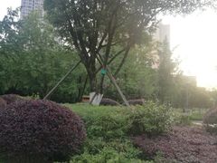 -重庆彩云湖湿地公园
