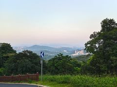 -黄埔油麻山森林公园