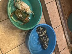 -真浪花园海鲜餐馆