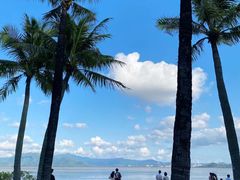 -深圳湾公园(南山区)