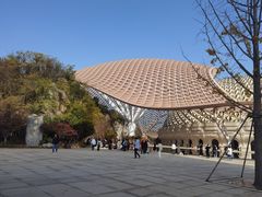 -牛首山文化旅游区