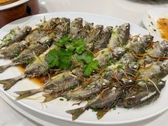 -厝包四点金·潮宴(太古仓店)