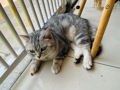 -平行世界·猫咖(首经贸店)