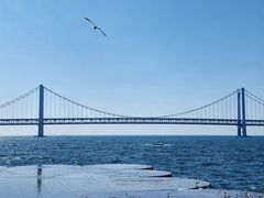 -星海湾跨海大桥