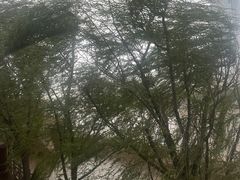 -水车博览园