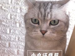 -平行世界·猫咖(首经贸店)