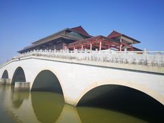 -大湾区中央湿地公园