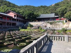 -石峰岩寺
