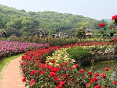 -龙寺生态园