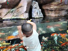 -哈尔滨波塞冬海底世界