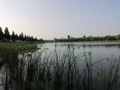 -素心小筑(后沙裕镇店)