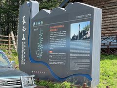 -峡谷浮石林景区