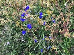 -白草畔自然风景区