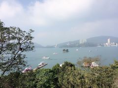 -金盆阿嬷香菇茶叶蛋(玄光店)